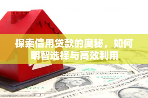 沈北新区探索信用贷款的奥秘，如何明智选择与高效利用