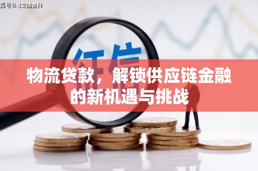 沈北新区物流贷款，解锁供应链金融的新机遇与挑战