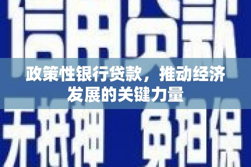 沈北新区政策性银行贷款，推动经济发展的关键力量