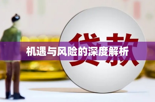 沈北新区机遇与风险的深度解析