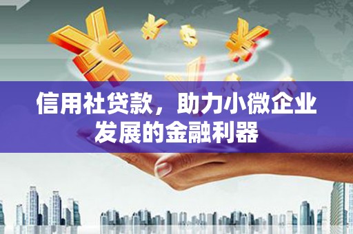 沈北新区信用社贷款，助力小微企业发展的金融利器