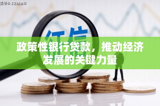 沈北新区政策性银行贷款，推动经济发展的关键力量