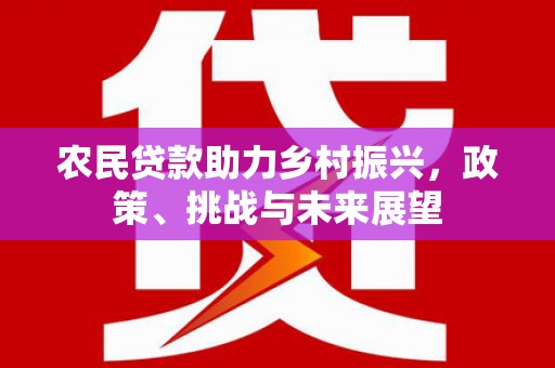 沈北新区农民贷款助力乡村振兴，政策、挑战与未来展望