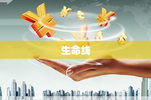 沈北新区生命线
