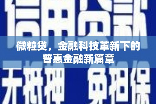 沈北新区微粒贷，金融科技革新下的普惠金融新篇章