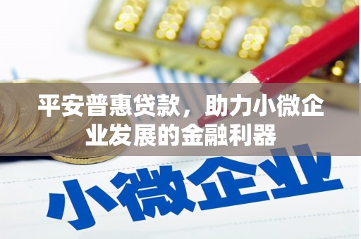 沈北新区平安普惠贷款，助力小微企业发展的金融利器