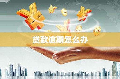 沈北新区贷款逾期怎么办