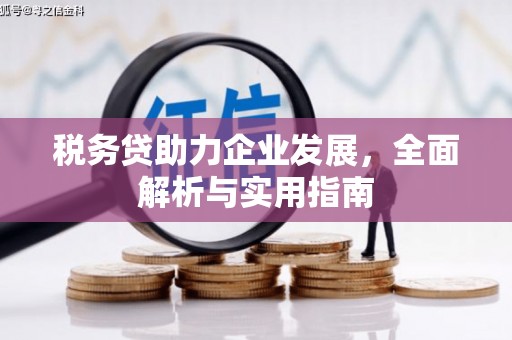 沈北新区税务贷助力企业发展，全面解析与实用指南