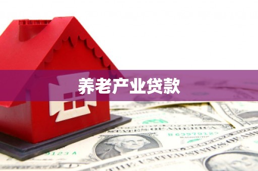 沈北新区养老产业贷款