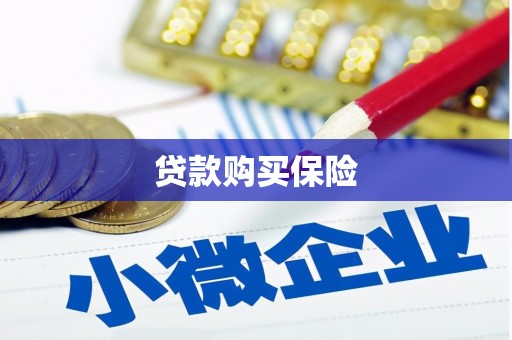 沈北新区贷款购买保险