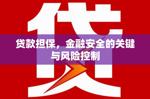 沈北新区贷款担保，金融安全的关键与风险控制