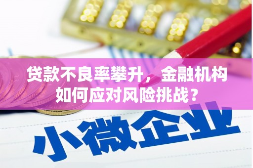 沈北新区贷款不良率攀升，金融机构如何应对风险挑战？