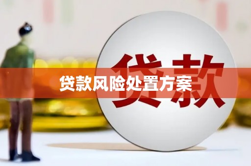 沈北新区贷款风险处置方案