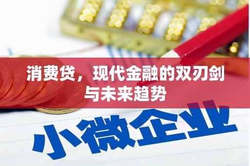 沈北新区消费贷，现代金融的双刃剑与未来趋势