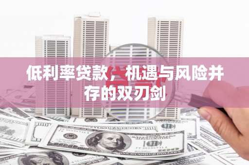 沈北新区低利率贷款，机遇与风险并存的双刃剑