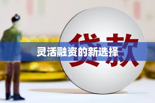 沈北新区灵活融资的新选择