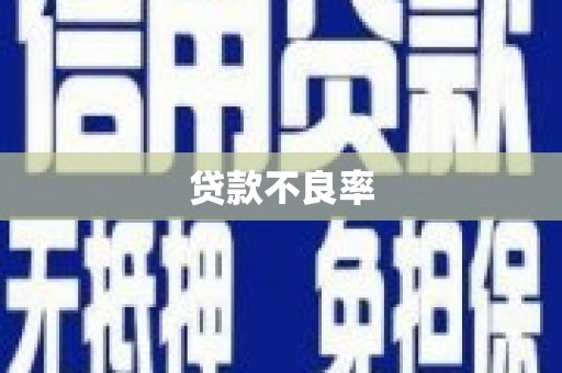沈北新区贷款不良率