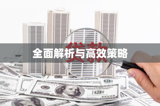 沈北新区全面解析与高效策略