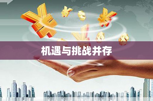 沈北新区机遇与挑战并存 沈北新区机遇与挑战并存