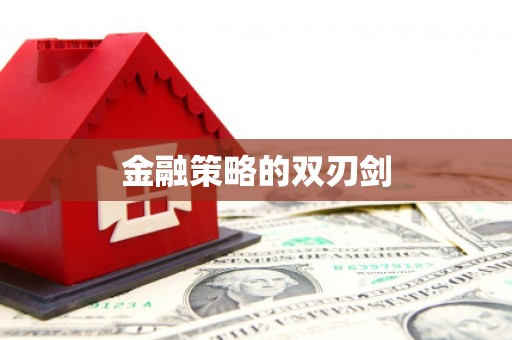 沈北新区金融策略的双刃剑
