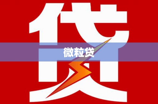 沈北新区微粒贷