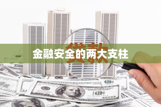 沈北新区金融安全的两大支柱