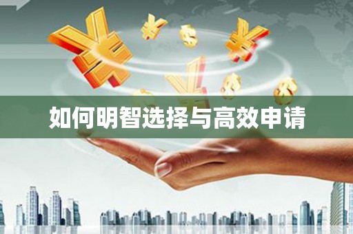 沈北新区如何明智选择与高效申请