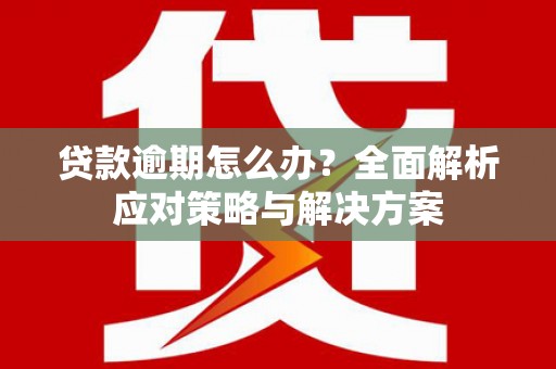 沈北新区贷款逾期怎么办？全面解析应对策略与解决方案