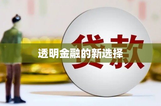 沈北新区透明金融的新选择