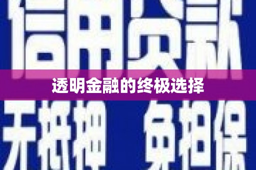 沈北新区透明金融的终极选择