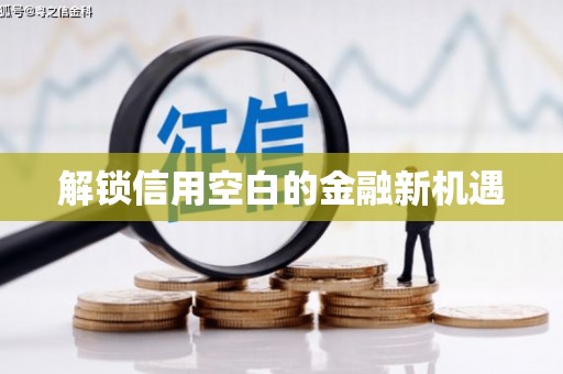沈北新区解锁信用空白的金融新机遇