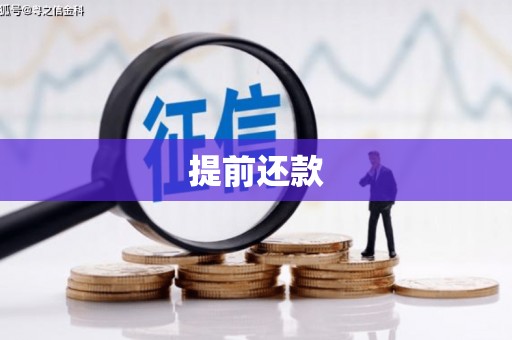 沈北新区提前还款