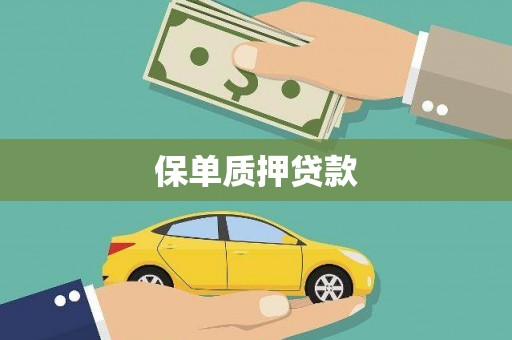 沈北新区保单质押贷款