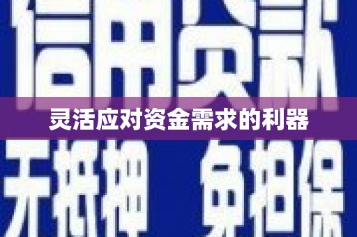 沈北新区灵活应对资金需求的利器