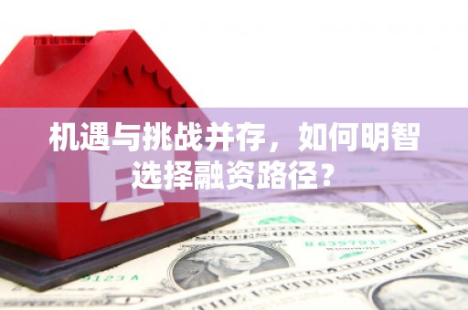 沈北新区机遇与挑战并存，如何明智选择融资路径？