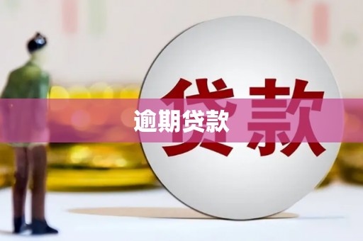 沈北新区逾期贷款