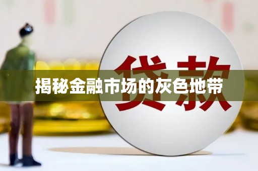 沈北新区揭秘金融市场的灰色地带