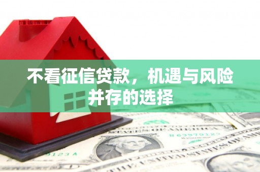 沈北新区不看征信贷款，机遇与风险并存的选择