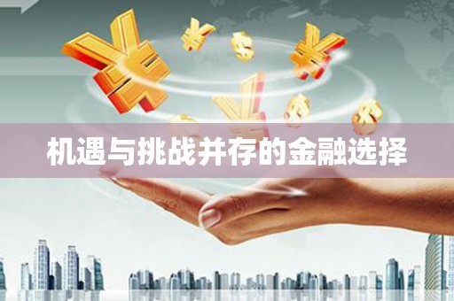 沈北新区机遇与挑战并存的金融选择