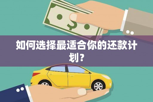 沈北新区如何选择最适合你的还款计划？