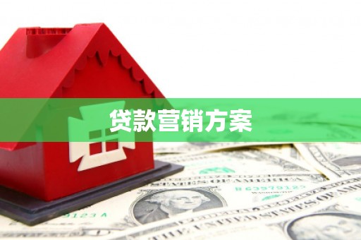 沈北新区贷款营销方案