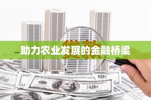 沈北新区助力农业发展的金融桥梁