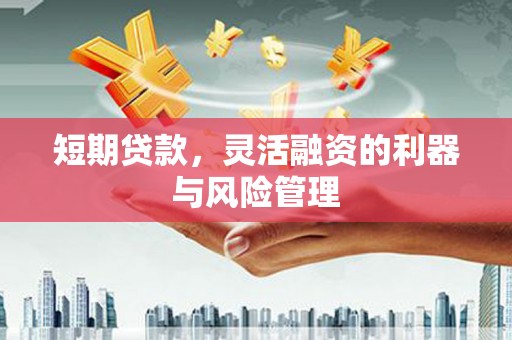 沈北新区短期贷款，灵活融资的利器与风险管理
