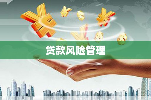 沈北新区贷款风险管理