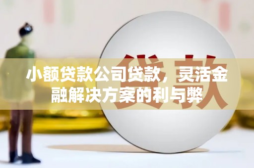 沈北新区小额贷款公司贷款，灵活金融解决方案的利与弊