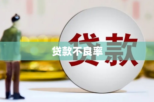 沈北新区贷款不良率