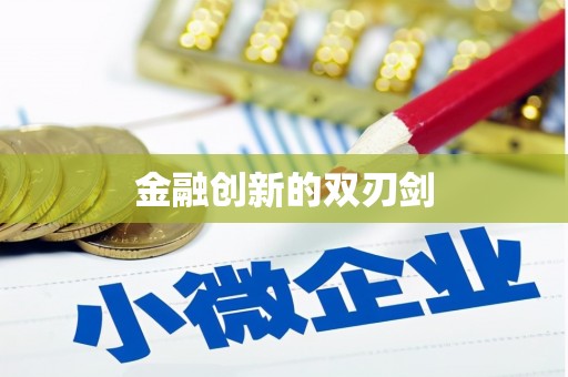 沈北新区金融创新的双刃剑